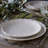 Dinner Plate-103145557