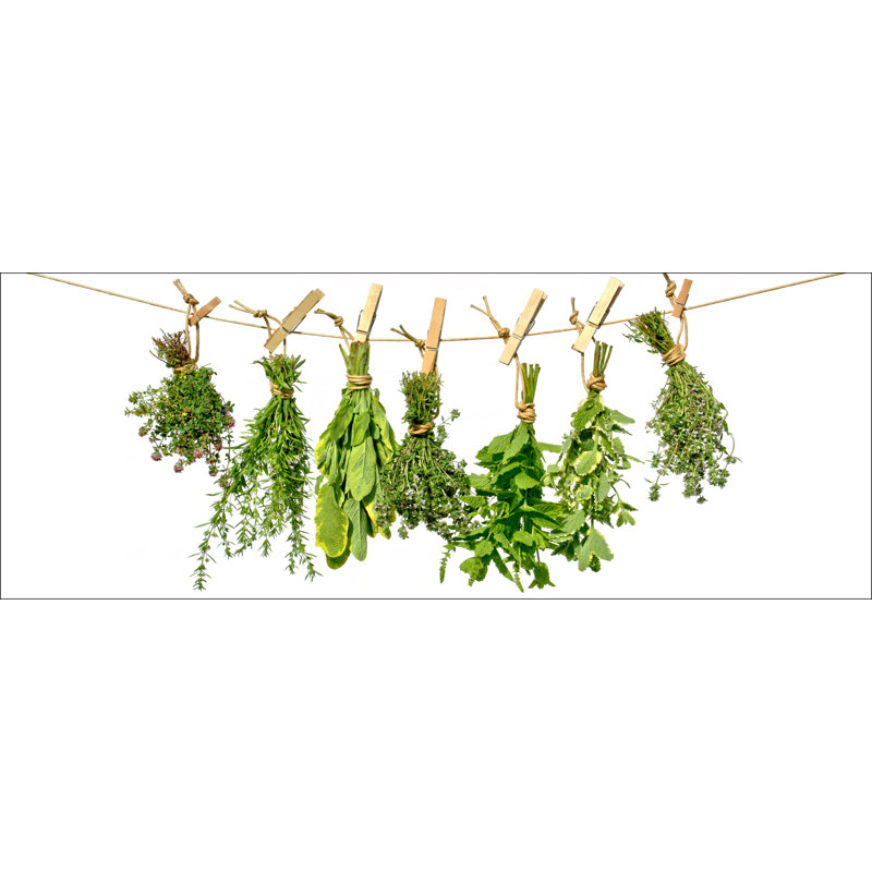 Hanging Vegetable - Graphic Art Print on Glass, 50 cm H x 125 cm W x 1.4cm D