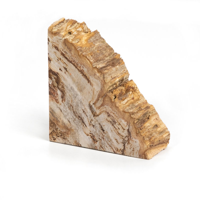 Petrified 2 Piece Wood Book End Set
