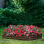 Boîte à fleurs surélevée rectangulaire Severson-527863848