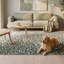 Tapis Sutcliffe moderne à motif mosaïque mouchetée abstraite verte, grise et blanche, lavable à la machine, antidérapant, à poils courts, pour l'intérieur et l'extérieur, adapté aux animaux domestiques, idéal pour le salon, la chambre, la salle à manger, l'entrée, le couloir ou le bureau.-386218286