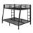 Metal Bunk Bed For Teens And Adults-279733733