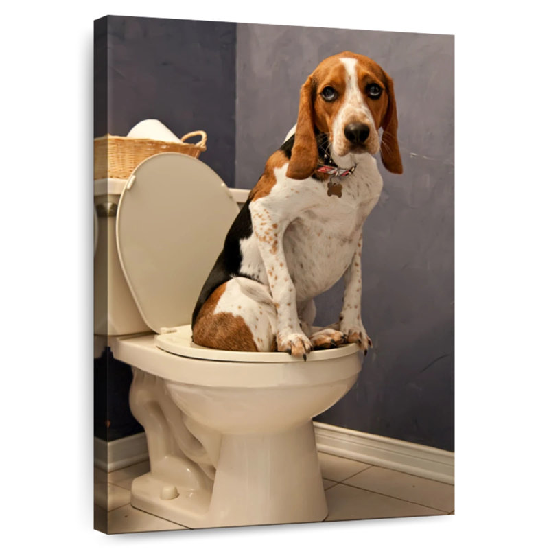 L'heure des toilettes Ketti Hound, H 24 po x l 16 po