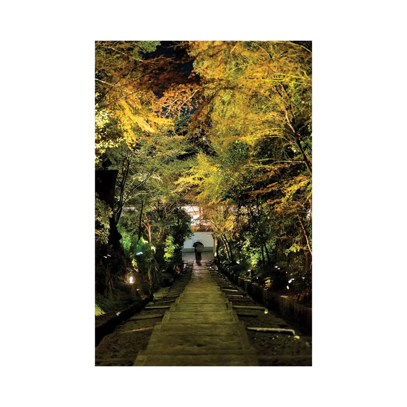 «Night Staircase» par Philippe Hugonnard - peinture sur toile tendue, H 18 po x l 12 po x 1,5 po