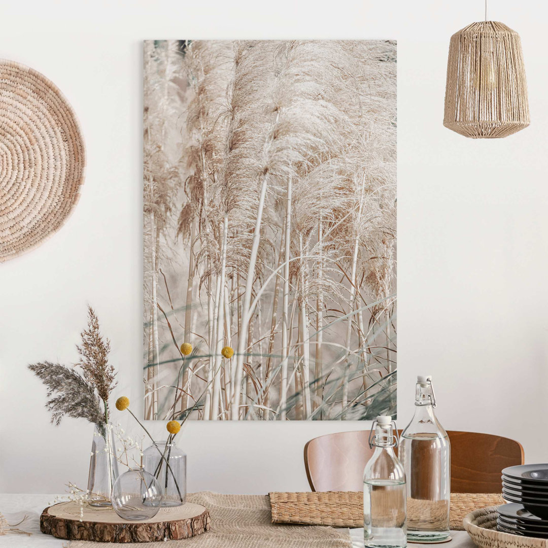 Leinwandbild Warm Pampas Grass in Summer von Monika Strigel