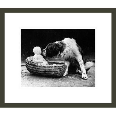 Mignon chien léchant une petite fille (6 à 11 mois) assis dans un panier par Inconnu - Impression Giclée encadrée