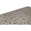 Oriental Area Rug