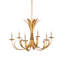 Augustus 6 - Light Chandelier
