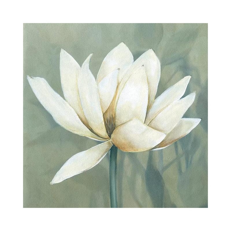 Waterlily I by Carol Robinson - Wrapped Canvas Print, 30.48 cm H x 30.48 cm W