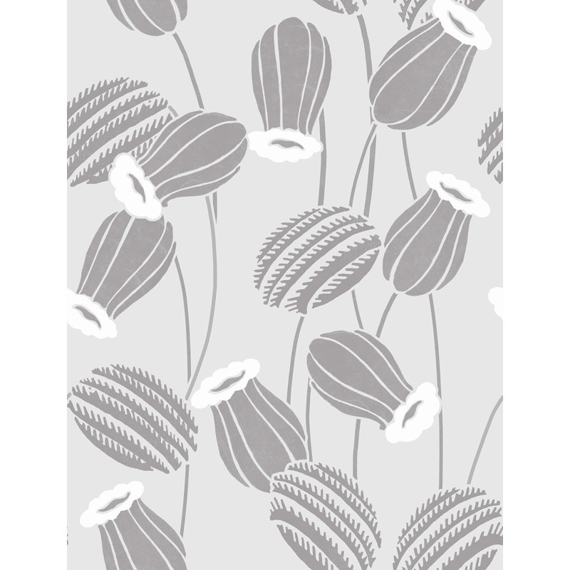 Coquelicots yuki osada, Gris