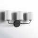 Fitz 3 Light Frosted Dimmable Vanity Light