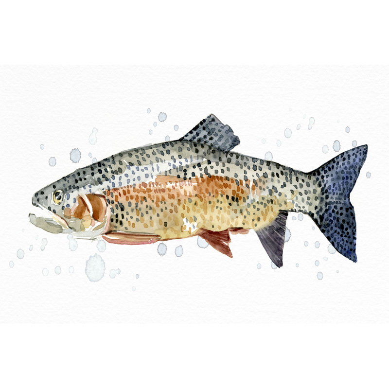 «Watercolor Rainbow Trout II» par Emma Caroline - reproduction, H 24 po x l 36 po, Cadre photo noyer, Oui