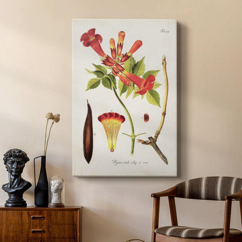 Fleurs tropicales de trompette I - galerie Cavas sur mesure, H 18 po x l 12 po