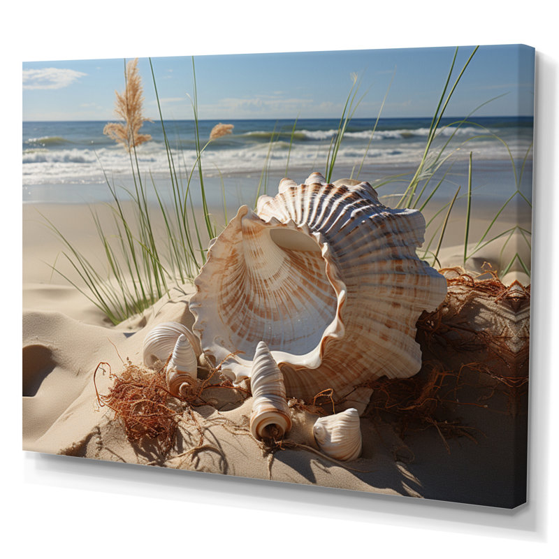 «Beach Photo Seashell Symphony I», art mural animaux côtiers, H 30 po x l 40 po x P 1,5 po