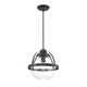 Willem Single Light Glass Dimmable Pendant