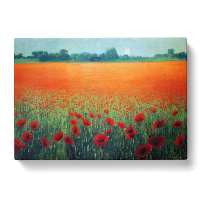 Superb Poppies Flowers - Wrapped Canvas Painting, 35cm H x 50cm W x 3cm D