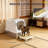 Cat Litter Box, Enclosed Cat Litter Box With Scoop, Deodorizer Bag
