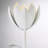 Dario 1-Light Dimmable LED Armed Sconce-823116493
