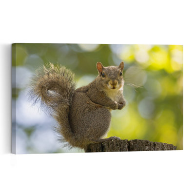 Alert Squirrel On Stump Abstract Contemporary Squirrel Forest Landscape Wall Art Print by Massimo Chiodini - Print