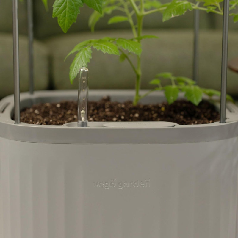 Mini Tomato Plastic Outdoor Pot Planter with Trellis, Fog Gray