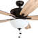 Speicher 60" Ceiling Fan with LED Light
