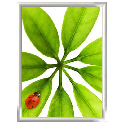 Snap Poster Frame