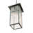 Aralee 1 - Light Gray Lantern Pendant