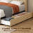 Jeilyn Upholstered Platform Drawer Storage Bed-719713665-715103003