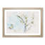 A White Cherry Blossom Tree Watercolour - Single Picture Frame Print on MDF-56740991-56740990