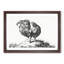 Sketch of a Rooster by Jean Bernard - Picture Frame Drawing Print-55619377-55619378