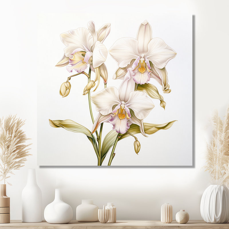 Illustration rétro d'une orchidée blanche - art mural orchidée, Toile tendue, H 16 po x l 16 po