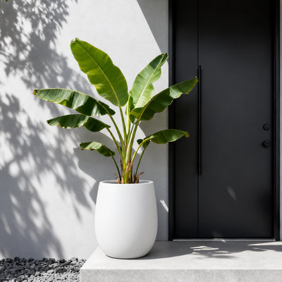 Jardinière d'intérieur / d'extérieur moyenne en fibre Corso Fiberstone - H 16,5 po Santorini (ouverture 11,5 po)