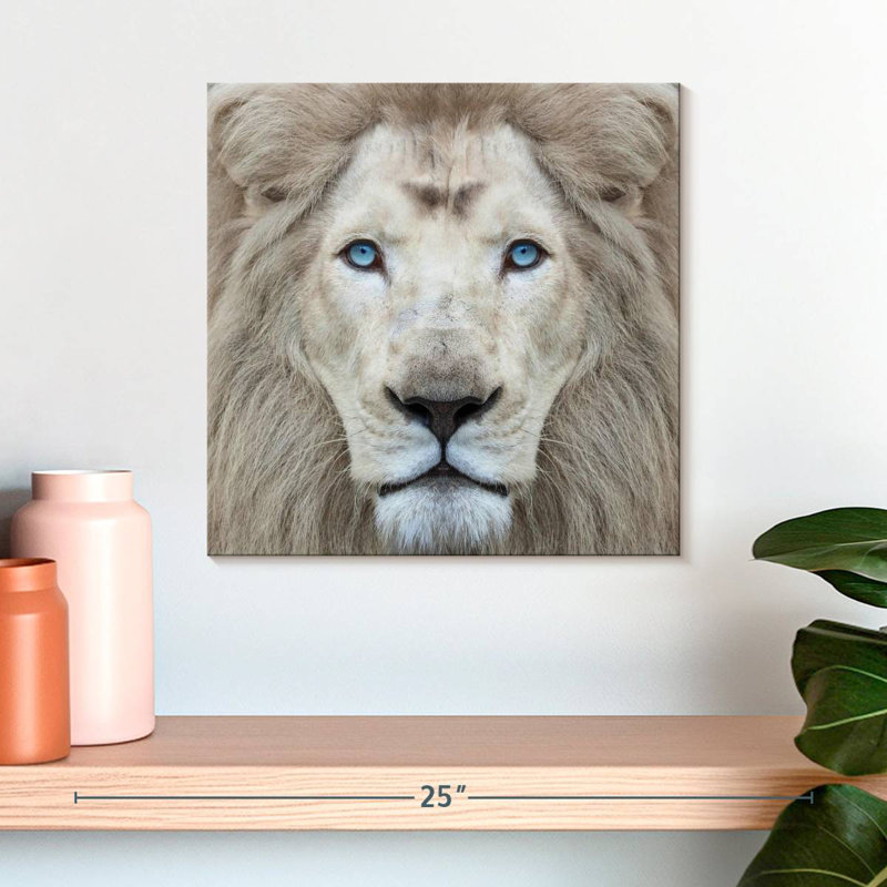 Brampt Exotic Lion, 16" H x 16" W