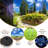Solar Twinkle Luminary & Pathway Lights-68311263