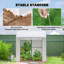 Greenhouse