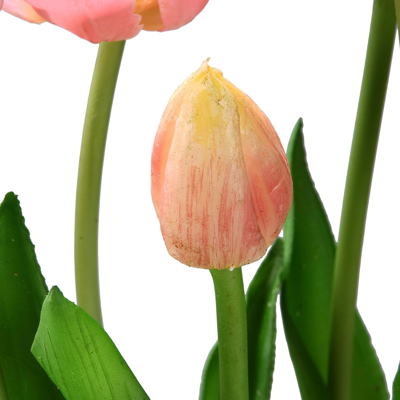 Fleurs de tulipe rose 18 po