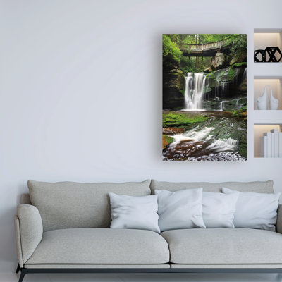 "Elakala Falls West I" par Alan Majchrowicz, reproduction de photo sur toile tendue