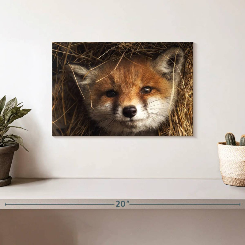 Renard coucou, H 8 po x l 12 po