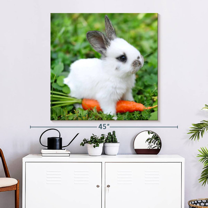 Crowle Baby Rabbit With Carrot