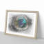 Delicate Peacock Feather in Abstract - Picture Frame Graphic Art Print-55740393-55740390