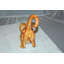 Statue de chat Hinds
