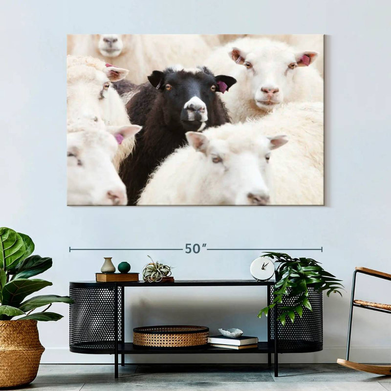 Brampt Standout Black Sheep, 34" H x 51" W