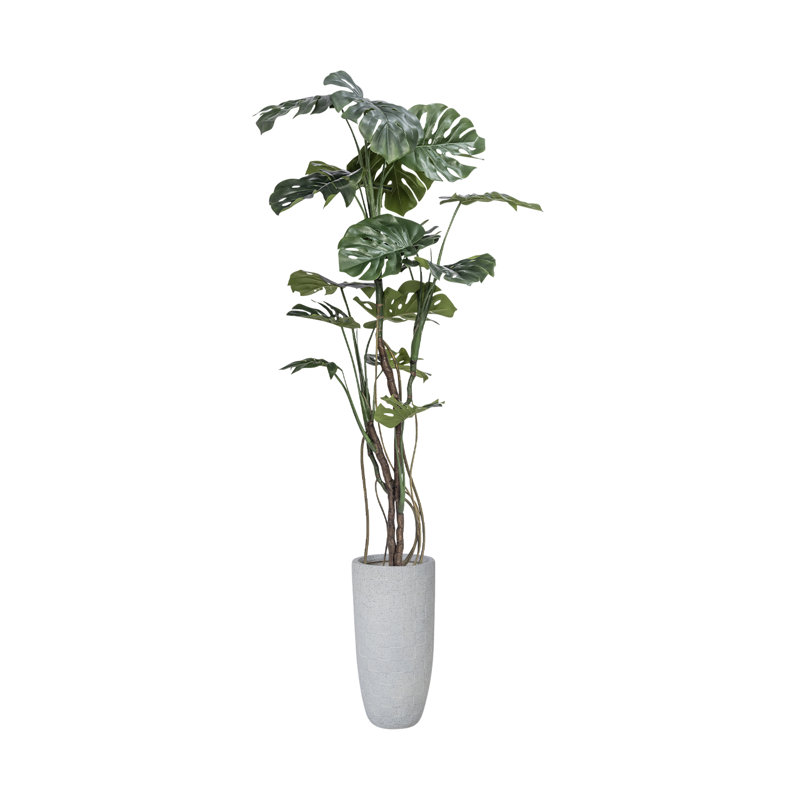Arbre à fleurs 85,3 po Monstera
