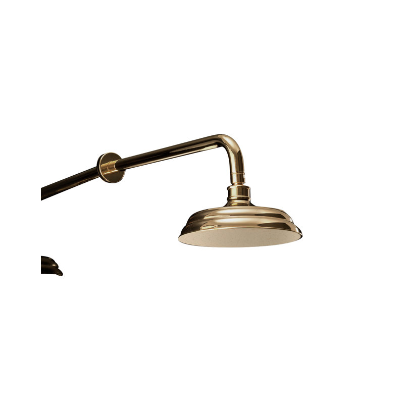 Swan Full/Standard Fixed Shower Head, Antique Brass