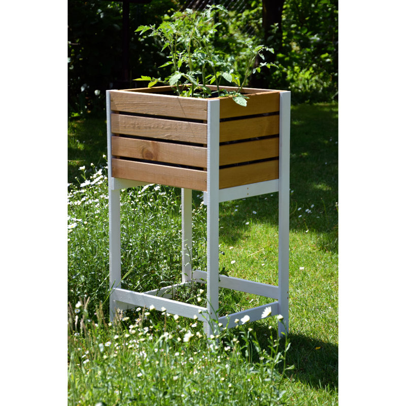 Aakilah Wood Elevated Planter