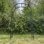 Ahnah 112 cm W x 45 cm D with Gate in Black