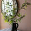 Branche d’acacia artificiel 47,2 "en vase