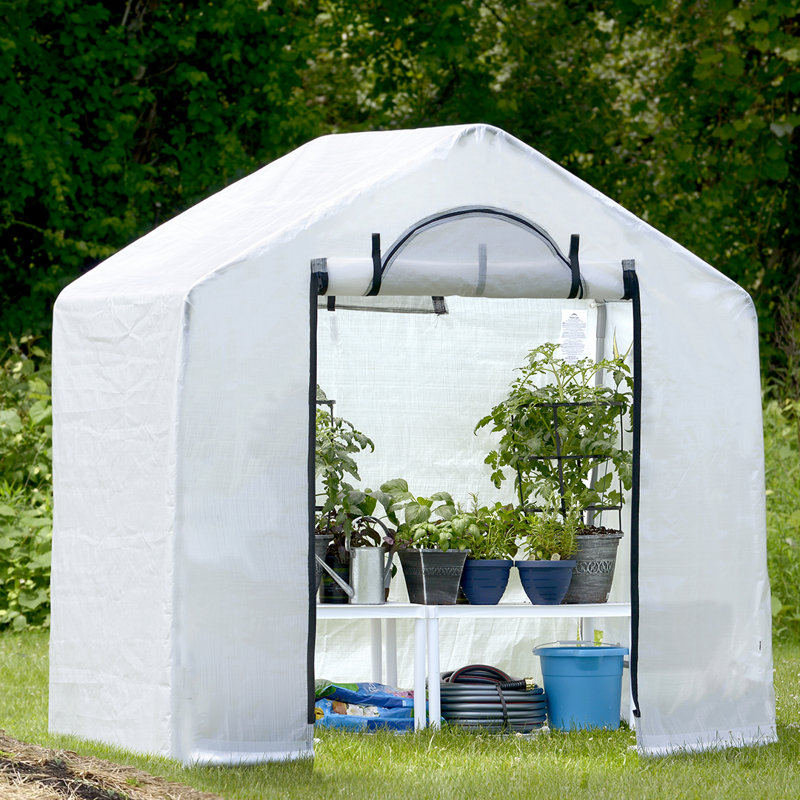 GrowIT Backhouse Greenhouse 6 x 4 x 6 pi 6 po GrowIT