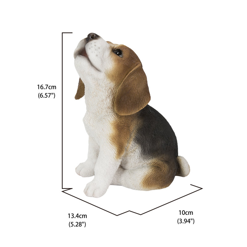 Beagle Puppy Howling