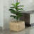 Mckenna Pot Planter-1201588322